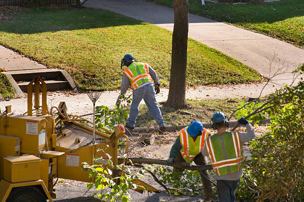 Soil Testing and Treatment in Delray Beach, FL