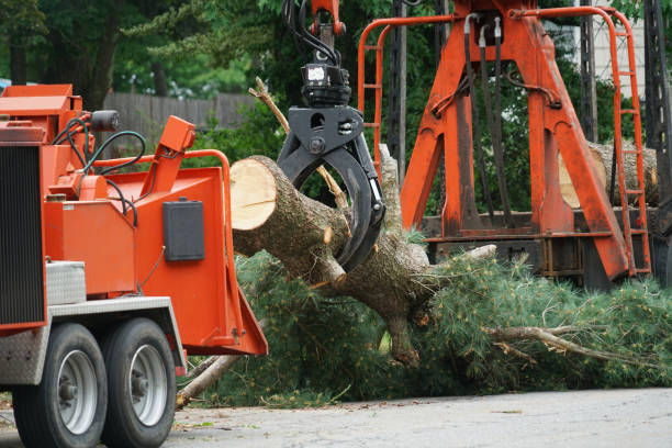 Best Pest Control for Lawns  in Delray Beach, FL